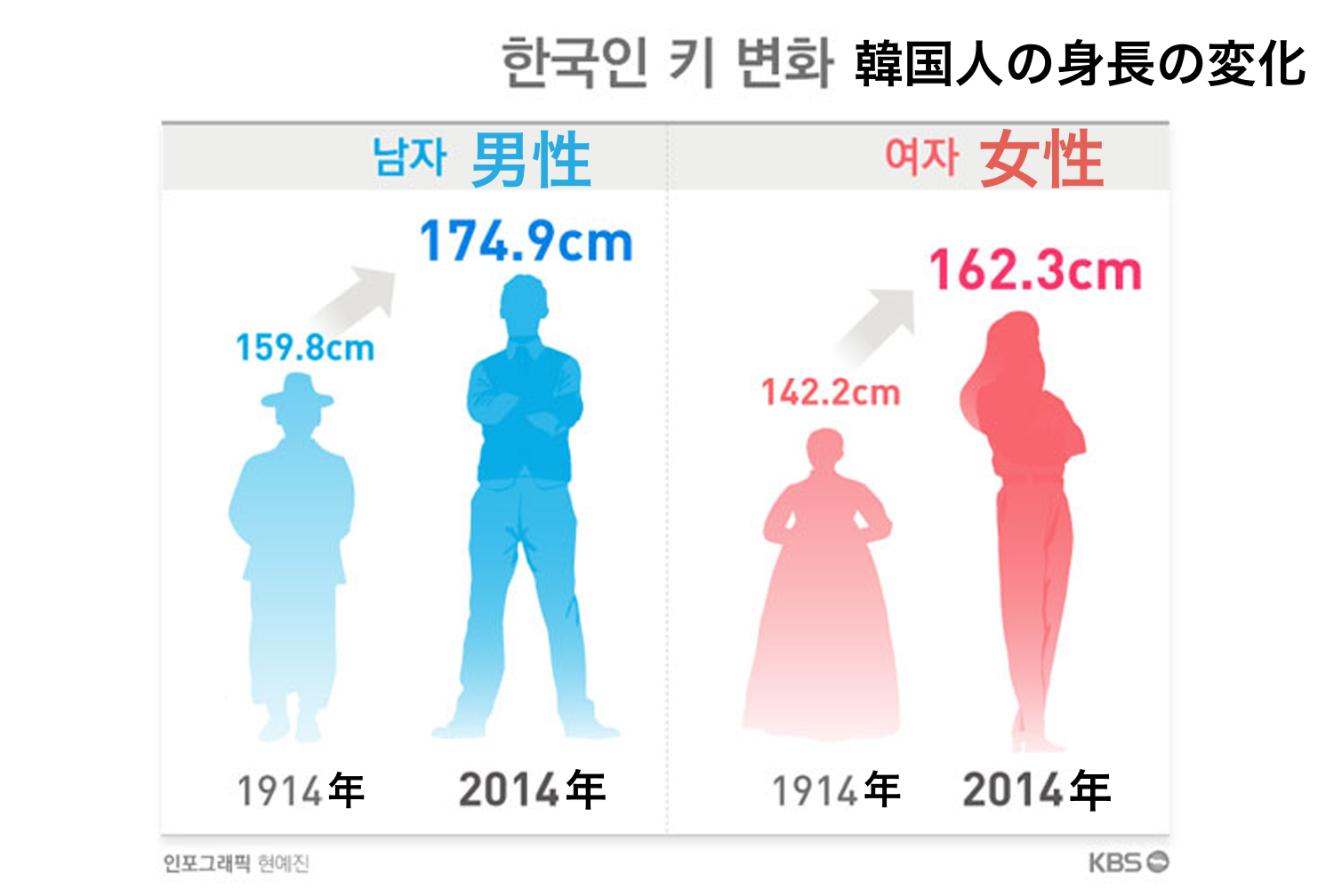 Creatrip 韓国人の身長について