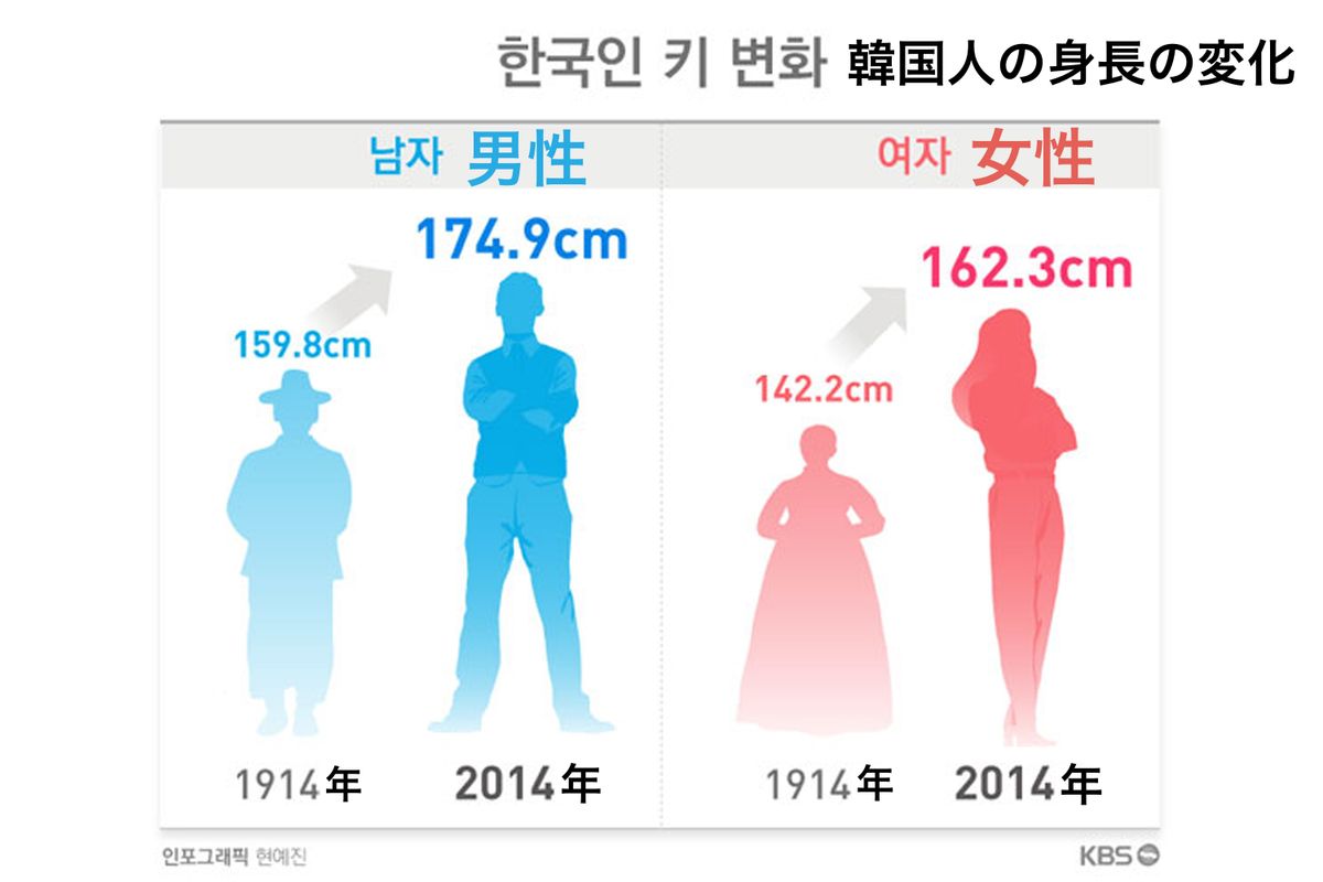 韓国人、身長、高身長、背、韓国文化、韓国歴史、韓国ニュース、韓国生活、KPOP、韓国平均身長、韓国、栄養剤、身長整形