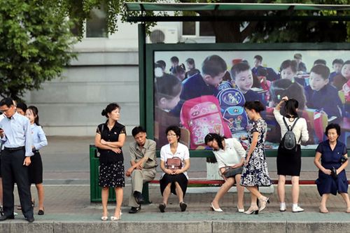 Creatrip 韓国人の身長について