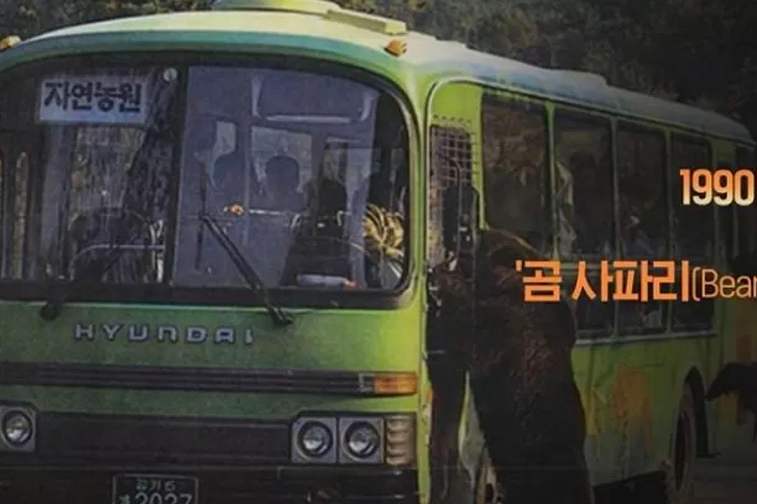 ภาพถ่ายรถบัสซาฟารีสีเขียวจากปี 1990 ในเอเวอร์แลนด์ซึ่งมีหมีอาศัยอยู่ใกล้รถ