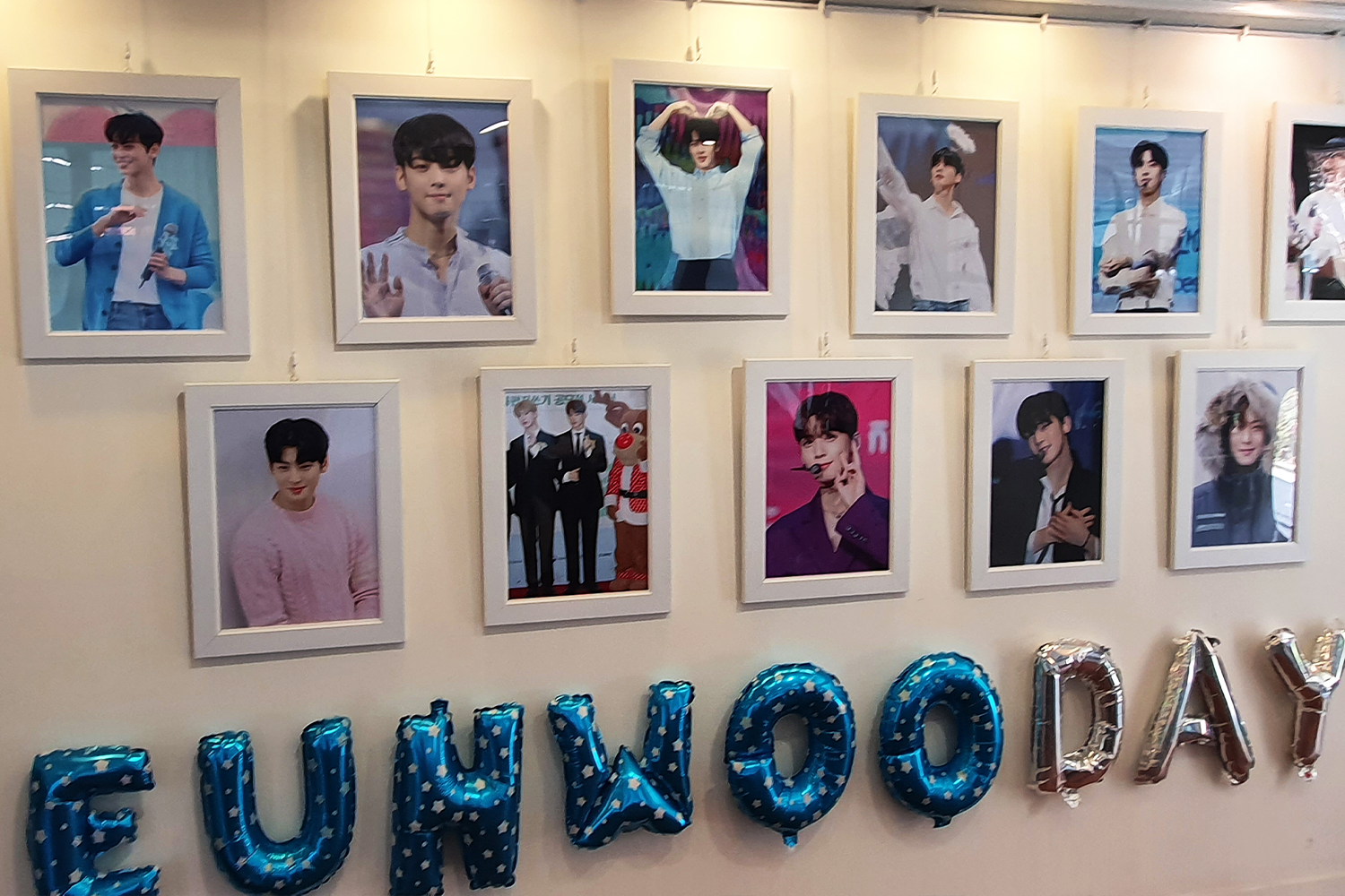 cha eun-woo wall decoration