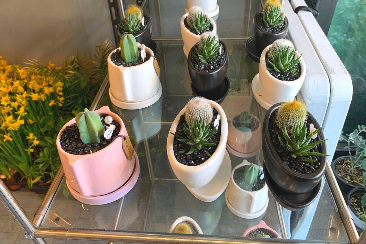 花屋さん、梨泰院、イテウォン駅、ノクサピョン駅、フラワー、韓国お花屋さん、プレゼント、韓国旅行、卒業式、インテリア