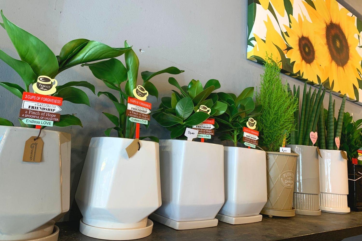 花屋さん、梨泰院、イテウォン駅、ノクサピョン駅、フラワー、韓国お花屋さん、プレゼント、韓国旅行、卒業式、インテリア