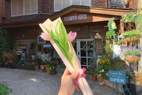 tulips flower market itaewon