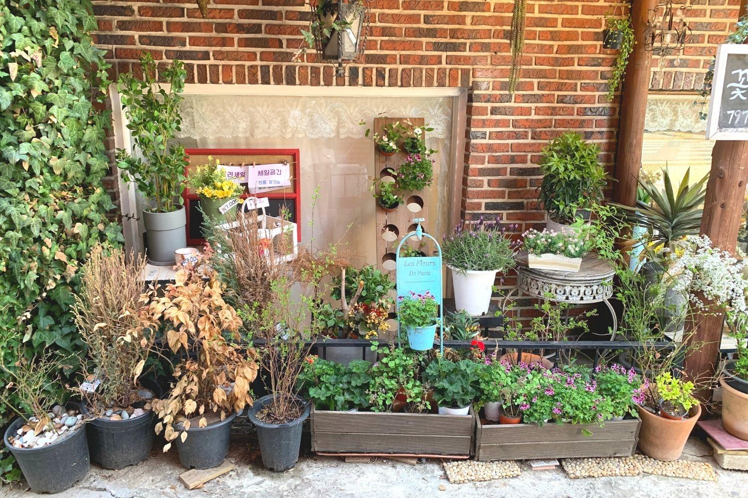 花屋さん、梨泰院、イテウォン駅、ノクサピョン駅、フラワー、韓国お花屋さん、プレゼント、韓国旅行、卒業式、インテリア