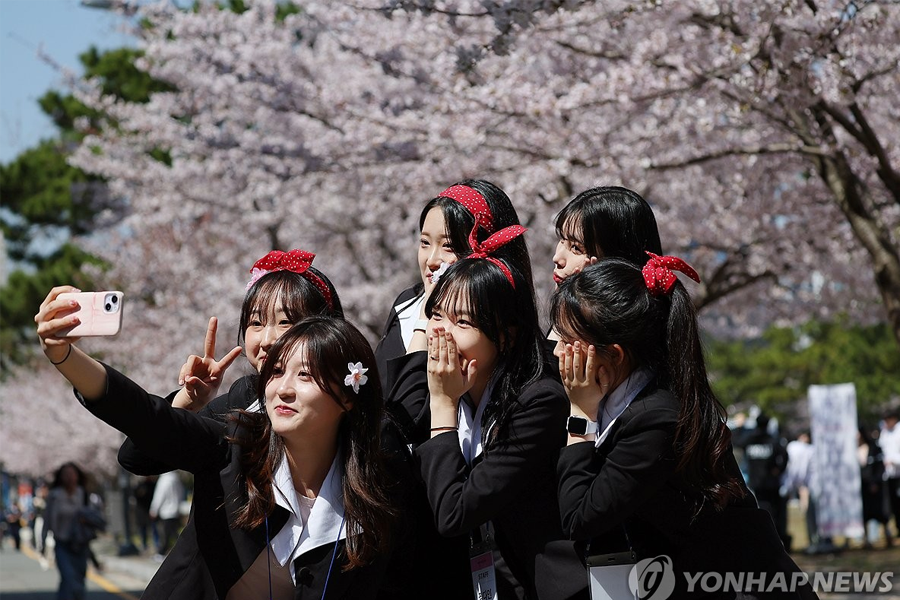 韓國愚人節期間,櫻花樹下留影,呈現大學生穿高中制服的氛圍