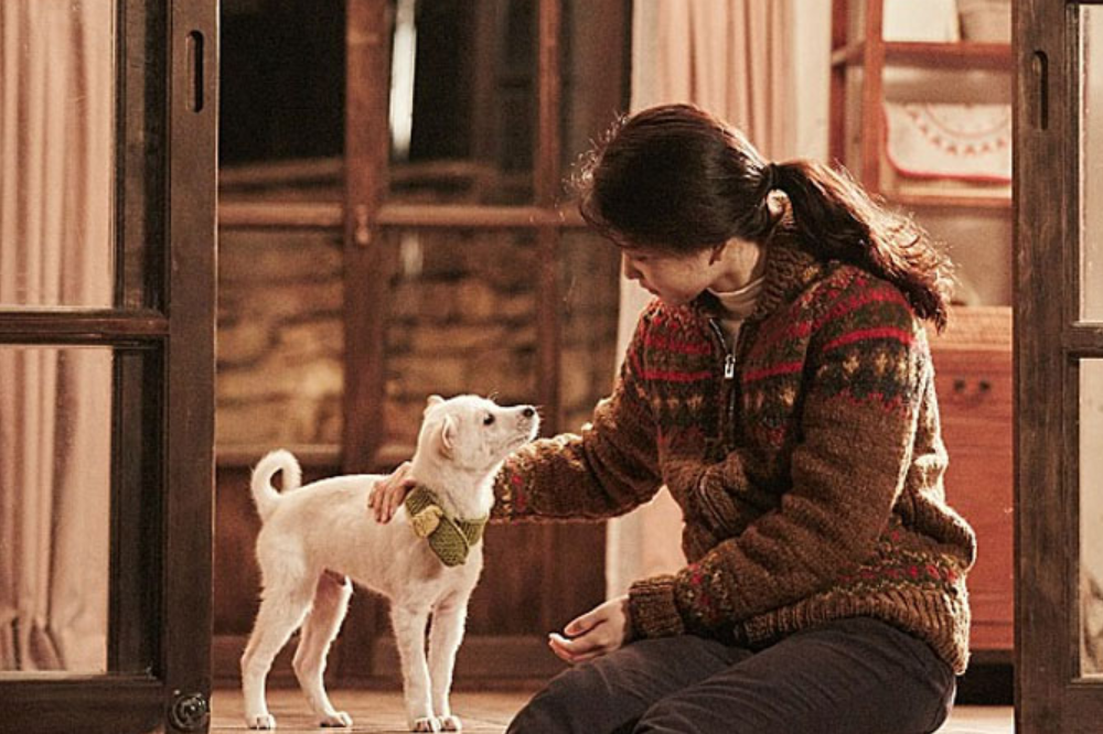 韓国、韓国映画、リトルフォレスト、日本リメイク、キムテリ、リュジュンヨル、チンギジュ、ゴハン食べよう、韓国料理、韓国映画、韓国料理映画、春夏秋冬、リトルフォレスト春夏秋冬、韓国四季、韓国田舎