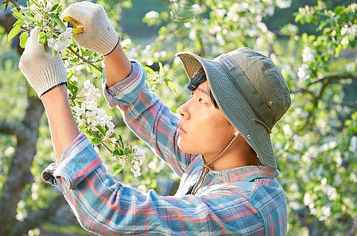 韓国、韓国映画、リトルフォレスト、日本リメイク、キムテリ、リュジュンヨル、チンギジュ、ゴハン食べよう、韓国料理、韓国映画、韓国料理映画、春夏秋冬、リトルフォレスト春夏秋冬、韓国四季、韓国田舎