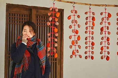 Creatrip 映画 リトル フォレスト 春夏秋冬 裏話と紹介