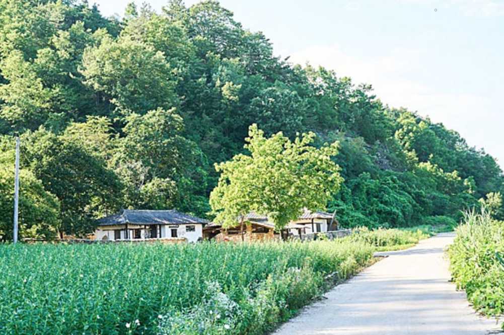 韓国、韓国映画、リトルフォレスト、日本リメイク、キムテリ、リュジュンヨル、チンギジュ、ゴハン食べよう、韓国料理、韓国映画、韓国料理映画、春夏秋冬、リトルフォレスト春夏秋冬、韓国四季、韓国田舎