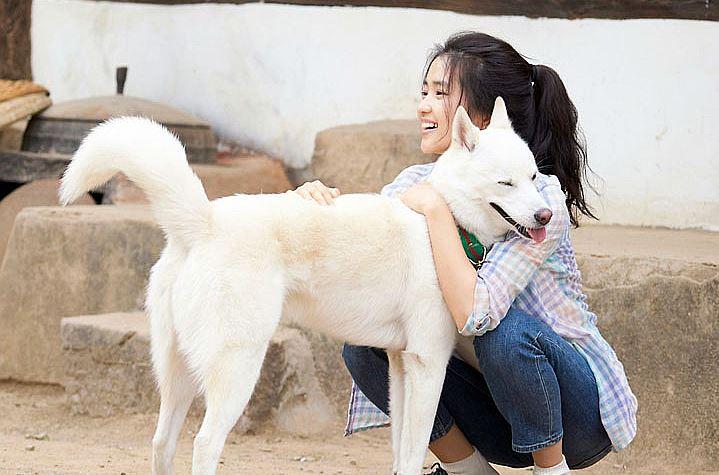 韓国、韓国映画、リトルフォレスト、日本リメイク、キムテリ、リュジュンヨル、チンギジュ、ゴハン食べよう、韓国料理、韓国映画、韓国料理映画、春夏秋冬、リトルフォレスト春夏秋冬、韓国四季、韓国田舎