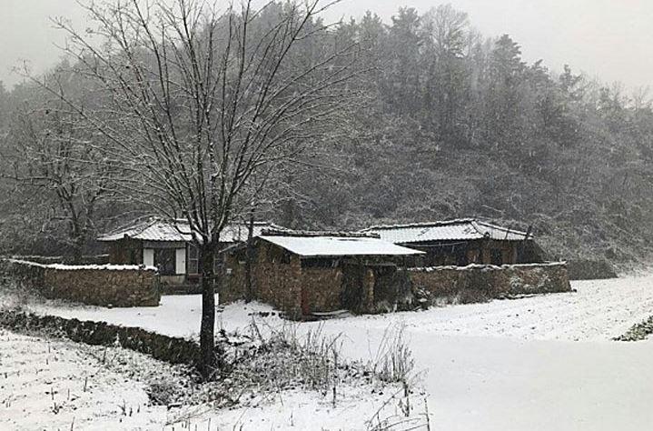 韓国、韓国映画、リトルフォレスト、日本リメイク、キムテリ、リュジュンヨル、チンギジュ、ゴハン食べよう、韓国料理、韓国映画、韓国料理映画、春夏秋冬、リトルフォレスト春夏秋冬、韓国四季、韓国田舎