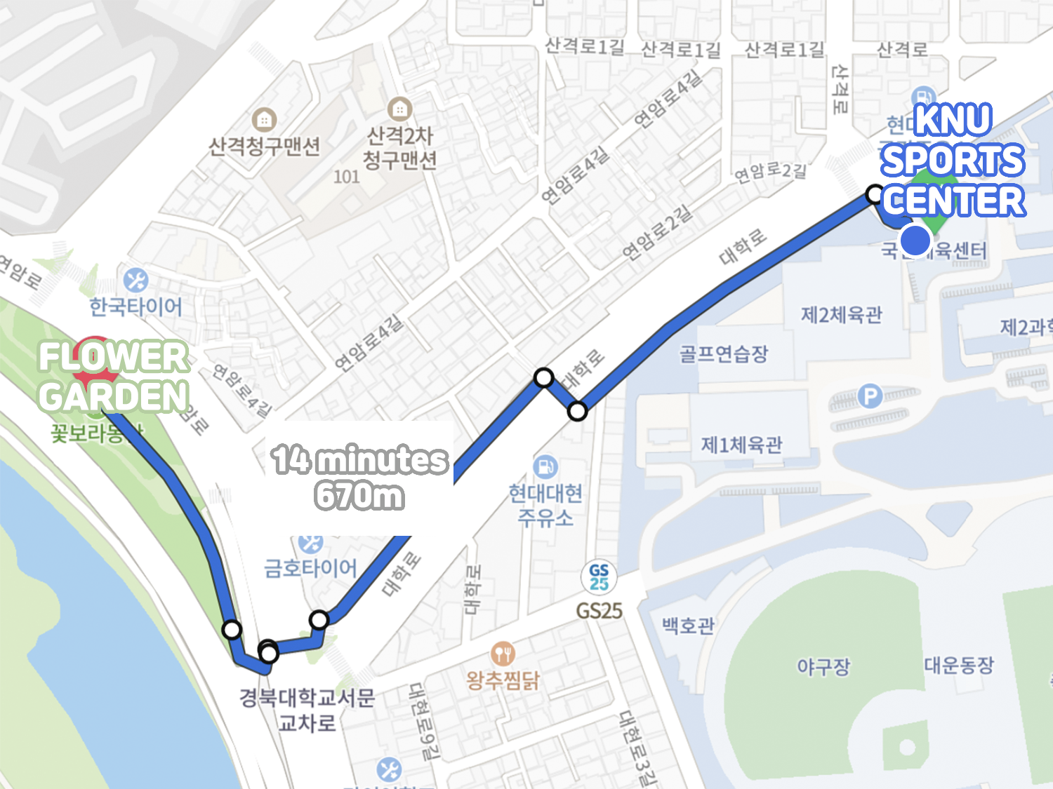 桜、韓国桜、韓国桜の名所、韓国桜スポット、大邱、テグ、大邱桜、テグ桜