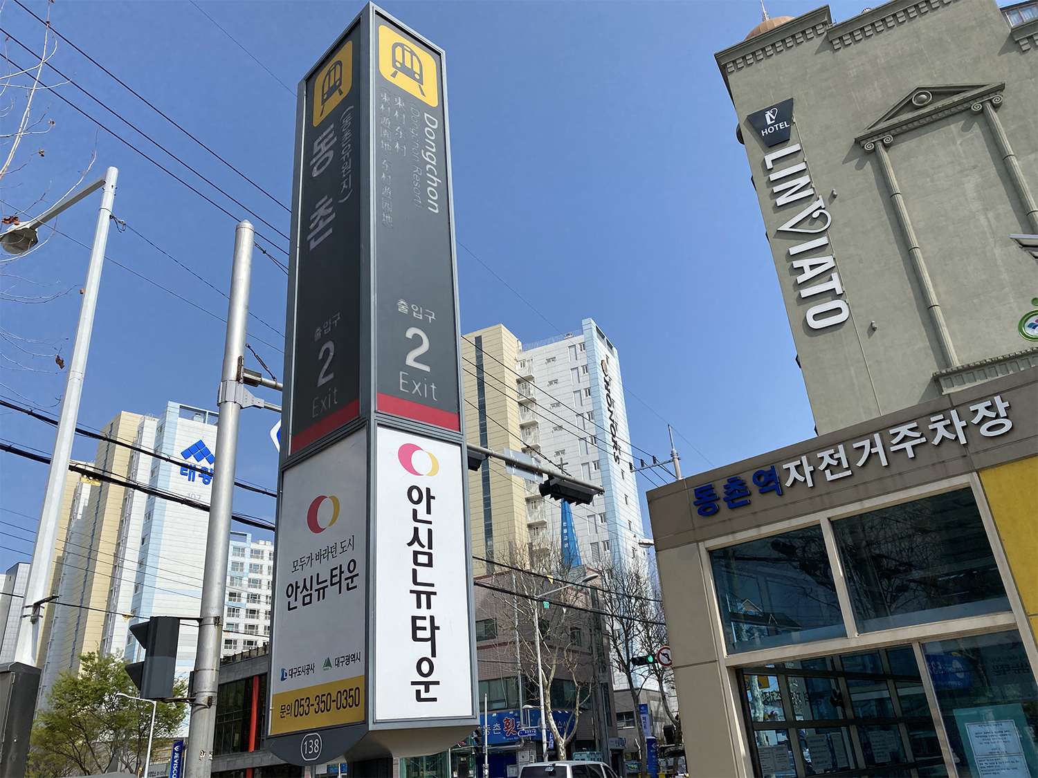 桜、韓国桜、韓国桜の名所、韓国桜スポット、大邱、テグ、大邱桜、テグ桜