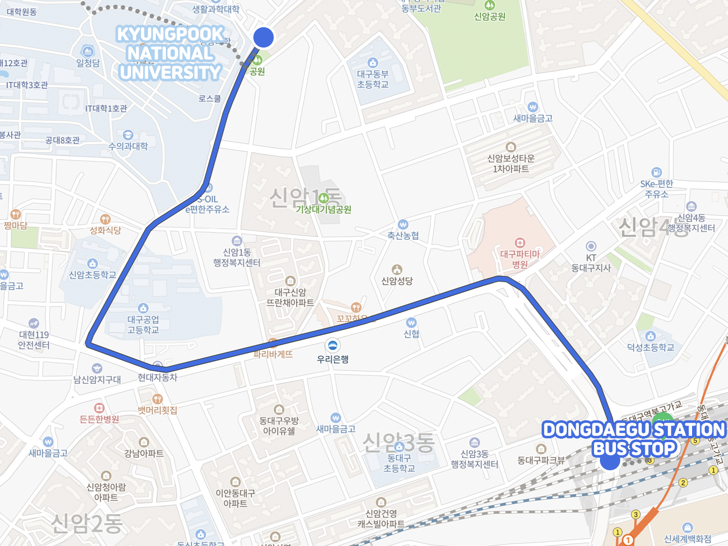 桜、韓国桜、韓国桜の名所、韓国桜スポット、大邱、テグ、大邱桜、テグ桜