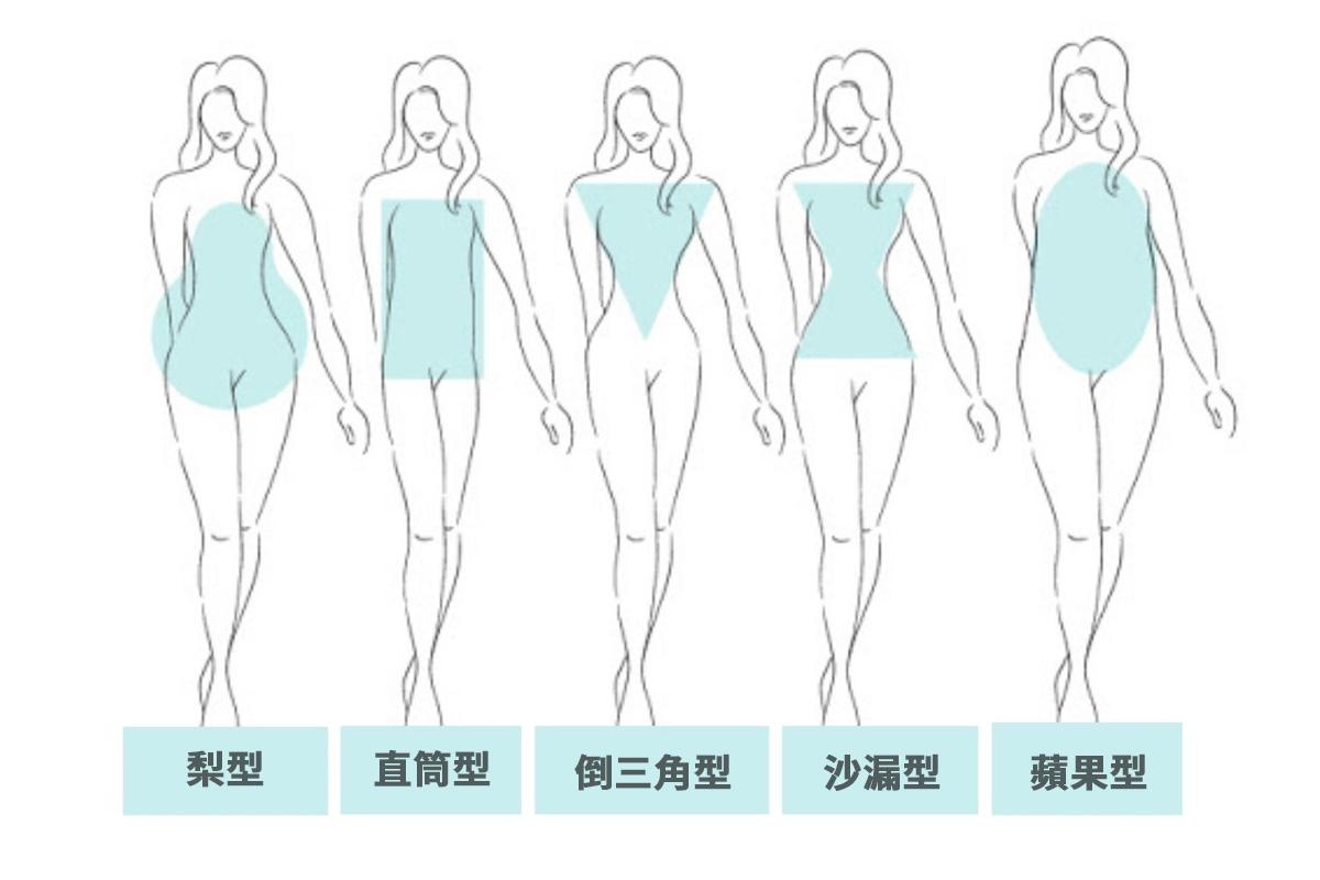 身型表 梨型、直筒型、倒三角型、沙漏型，蘋果型。