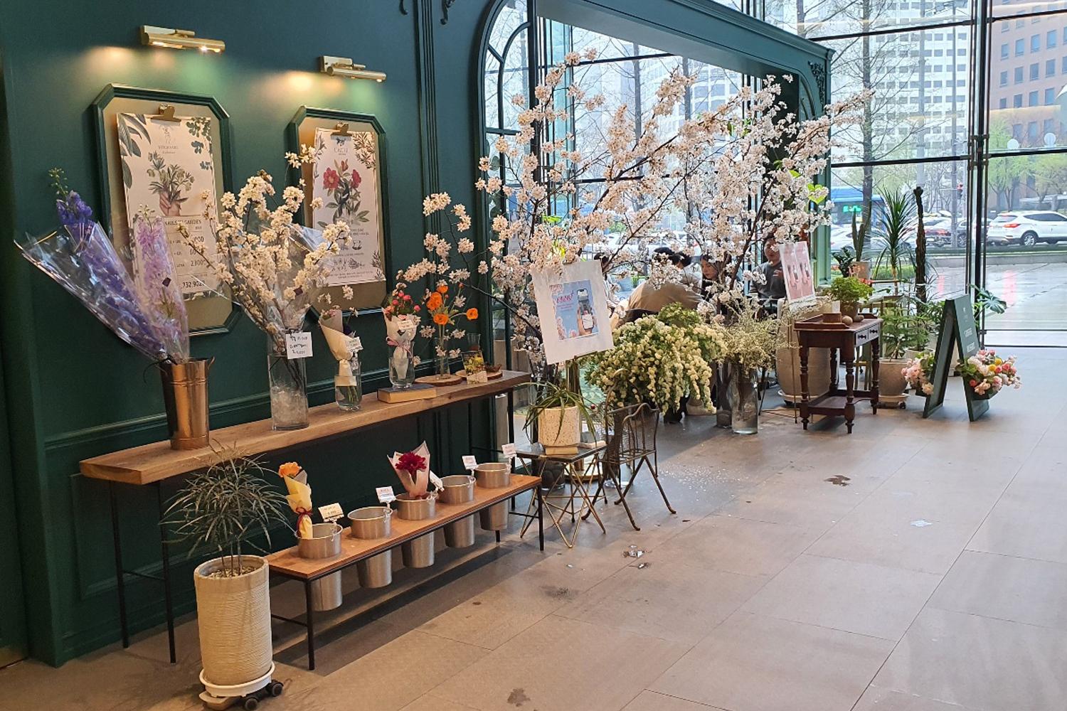 รีวิวคาเฟ่ดอกไม้ cachi_flowercafe ดอกซากุระ