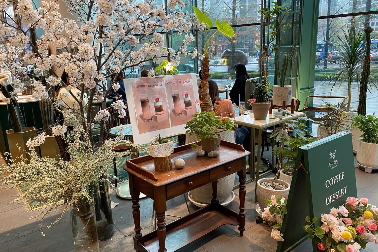 รีวิวคาเฟ่ดอกไม้ cachi_flowercafe โปรโมชั่น