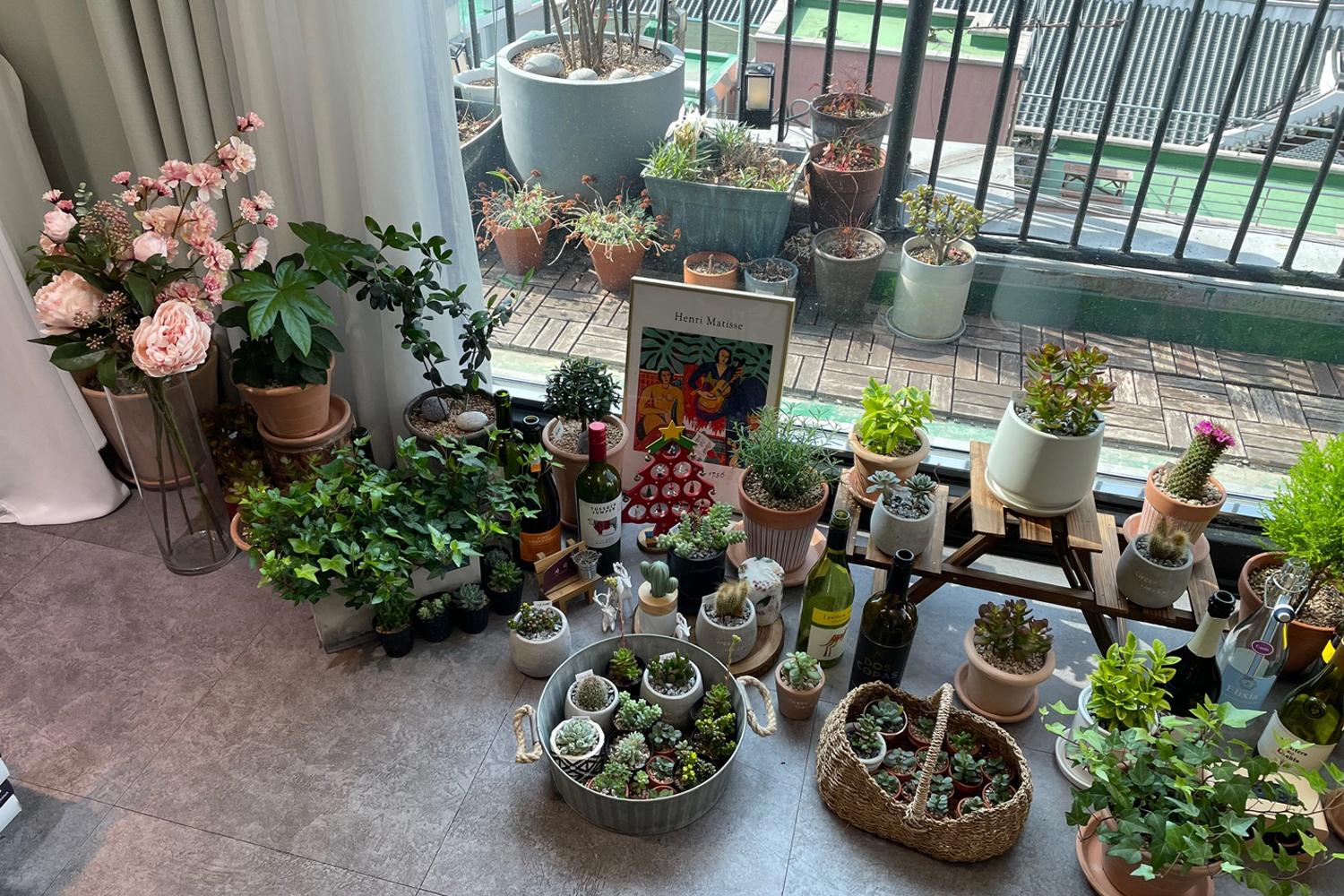 ร้านดอกไม้ Jarak_atelier ต้นไม้