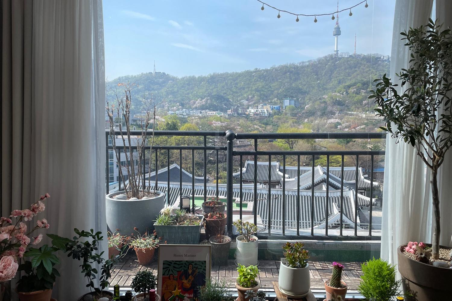 รีวิวร้านดอกไม้ Jarak_atelier