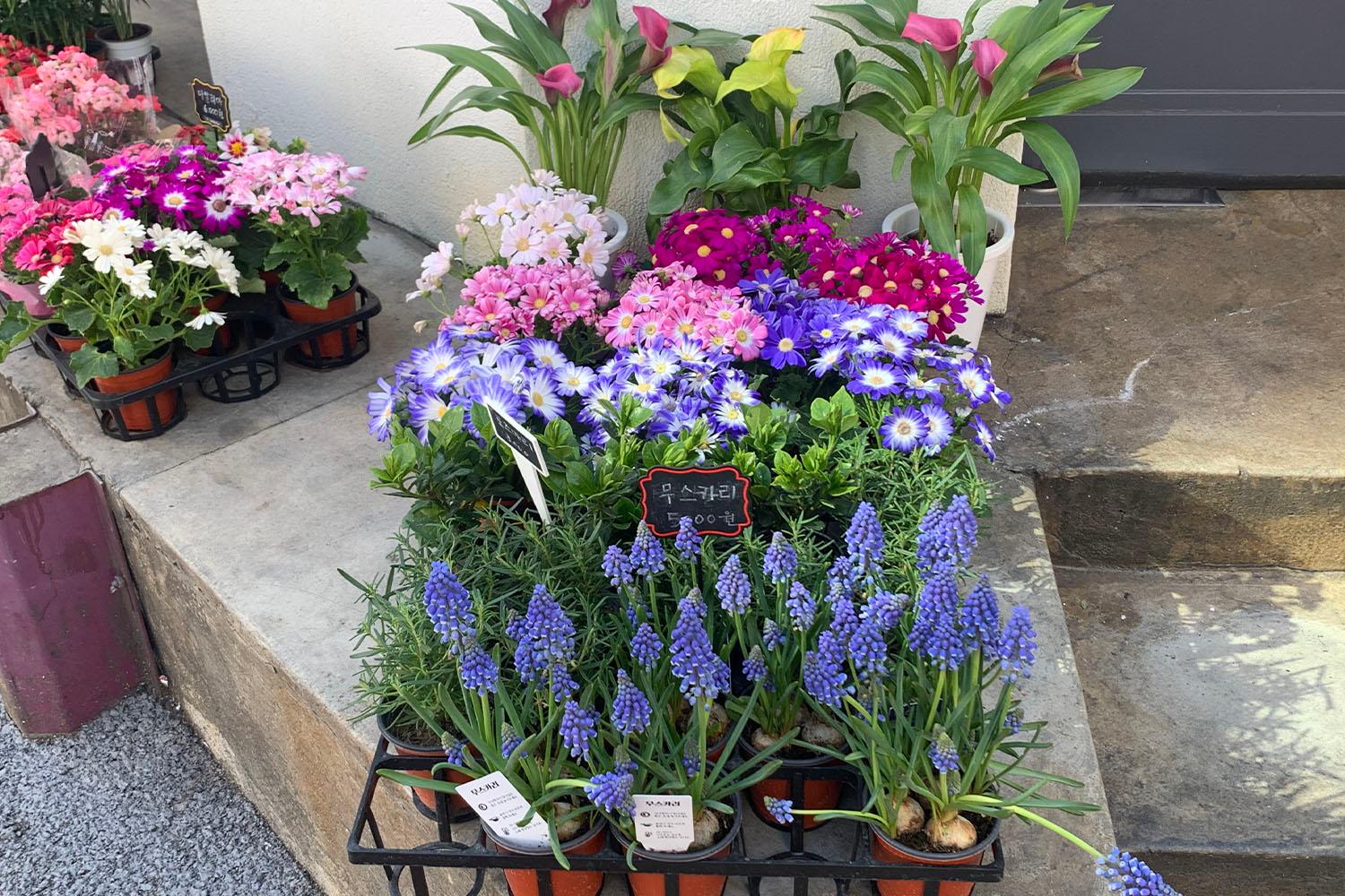 ร้านดอกไม้ย่านชินชน la.belle.fleur