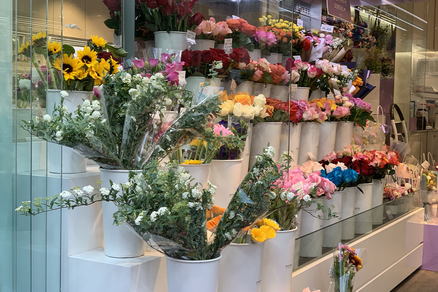 SNOWFOX FLOWRS (스노우폭스플라워 신촌점) sinchon cửa hàng hoa hoa hướng dương