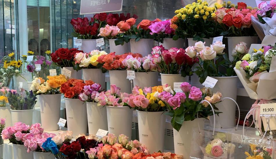 Ghé thăm 2 cửa hàng hoa được sinh viên yêu thích ở Sinchon