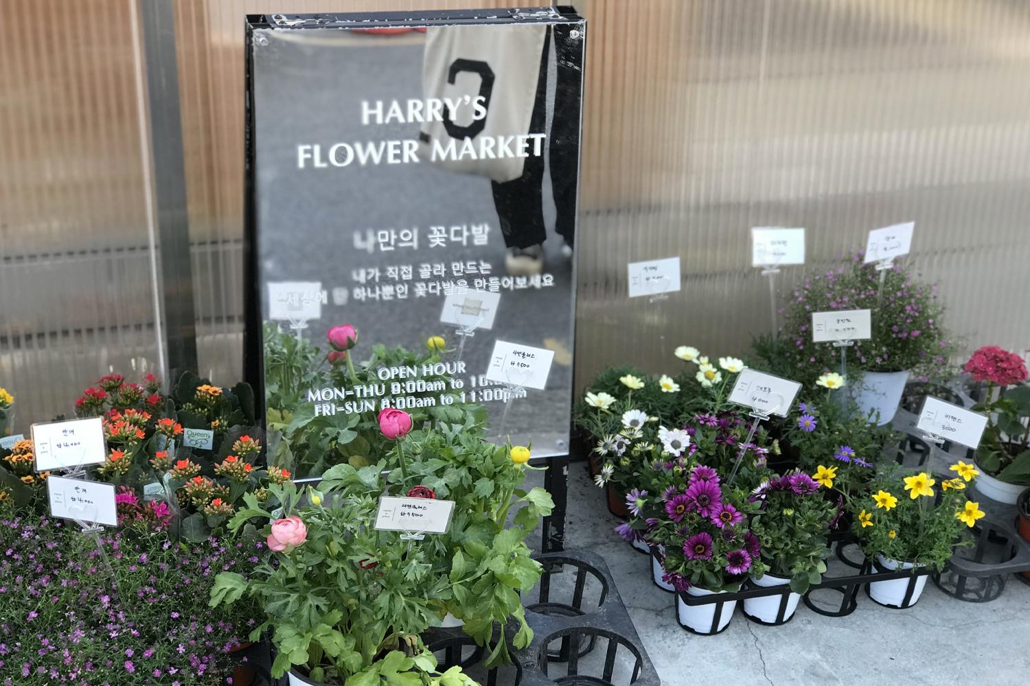Harry's Flower Market的招牌及户外展示的小花卉