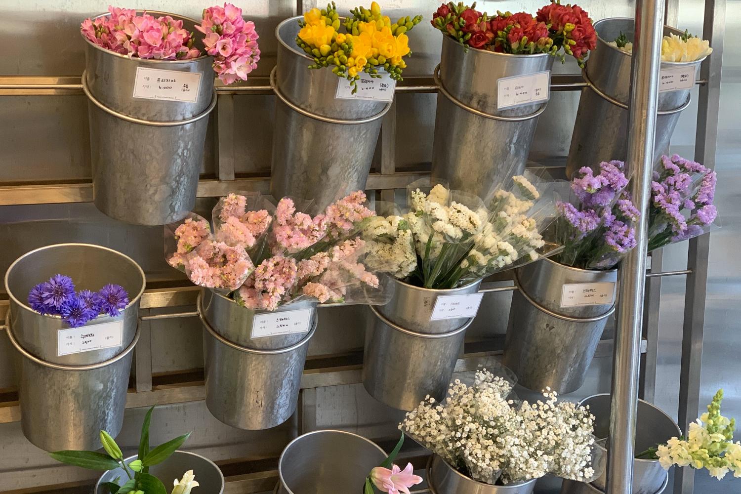 hoa trong cửa hàng Harry's Flower Market 