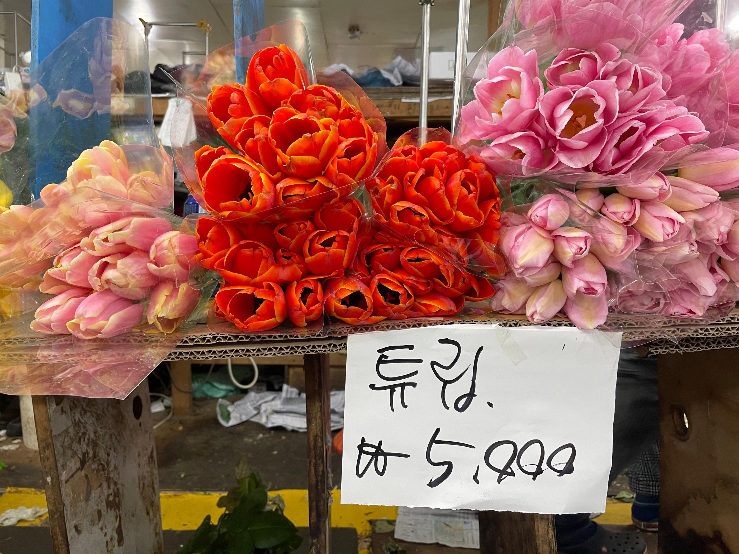 namdaemun flower market tulips