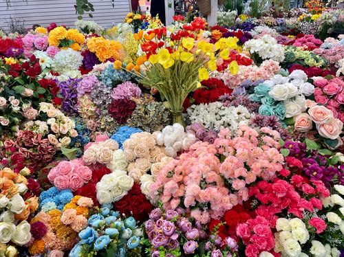 flower market in korea