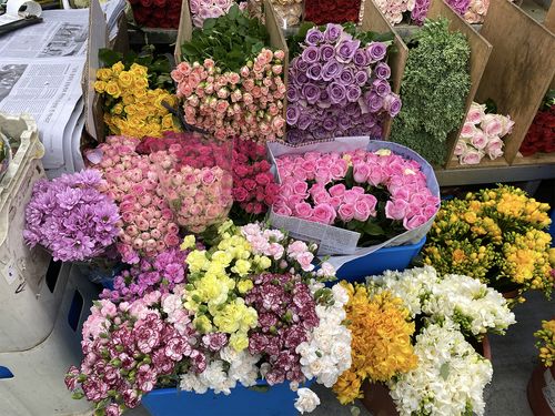 Chợ hoa Yangjae 양재꽃시장