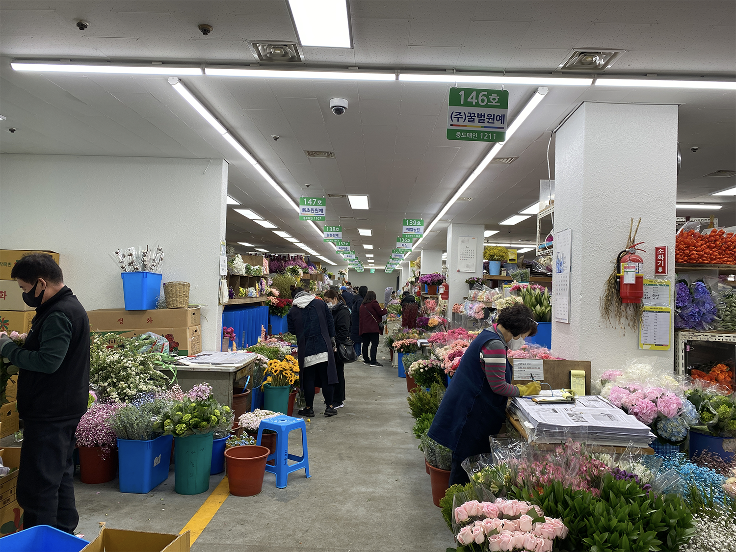 yangjae flower market