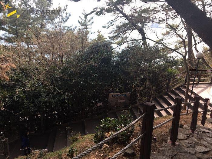 簡單而美麗的森林小徑，引領遊客探索無盡的綠意。