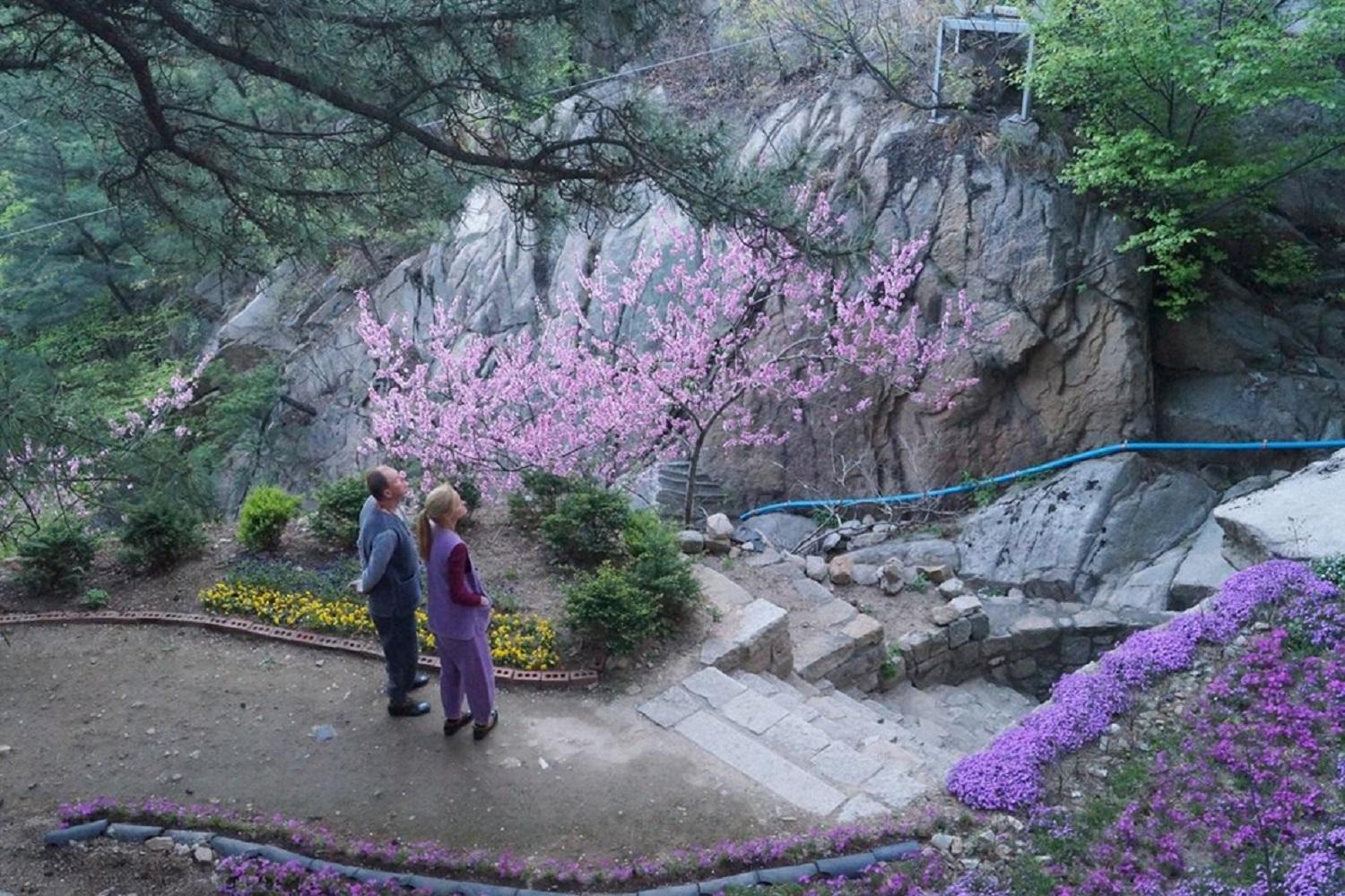 韓国文化、韓国仏教、韓国宗教、韓国寺、韓国寺院、テンプルステイ、韓屋ステイ、韓国旅行、ソウル旅行