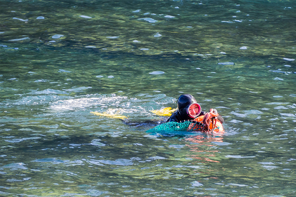 Haenyeo menangkap ikan di laut