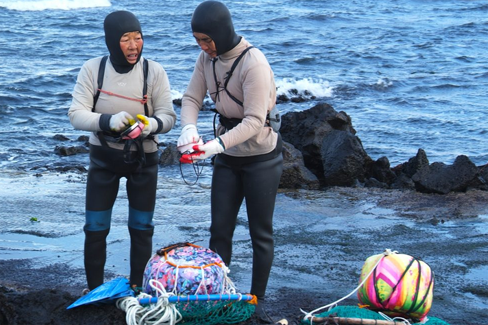 Haenyeo menangkap ikan di laut