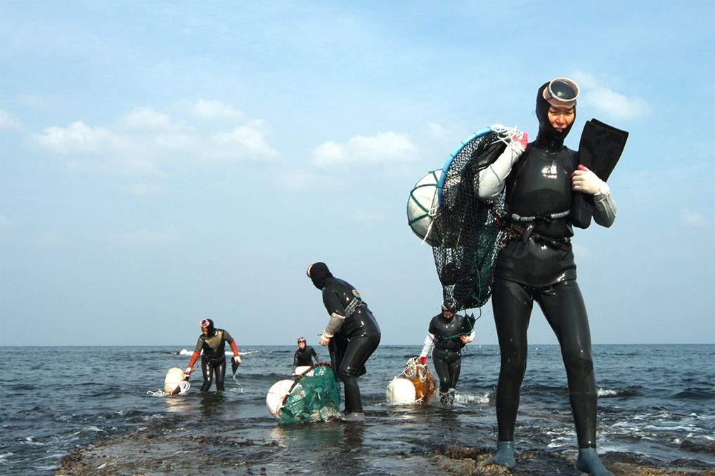 Une Haenyeo attrapant du poisson dans l'océan en pratiquant la plongée traditionnelle sans équipement d'oxygène