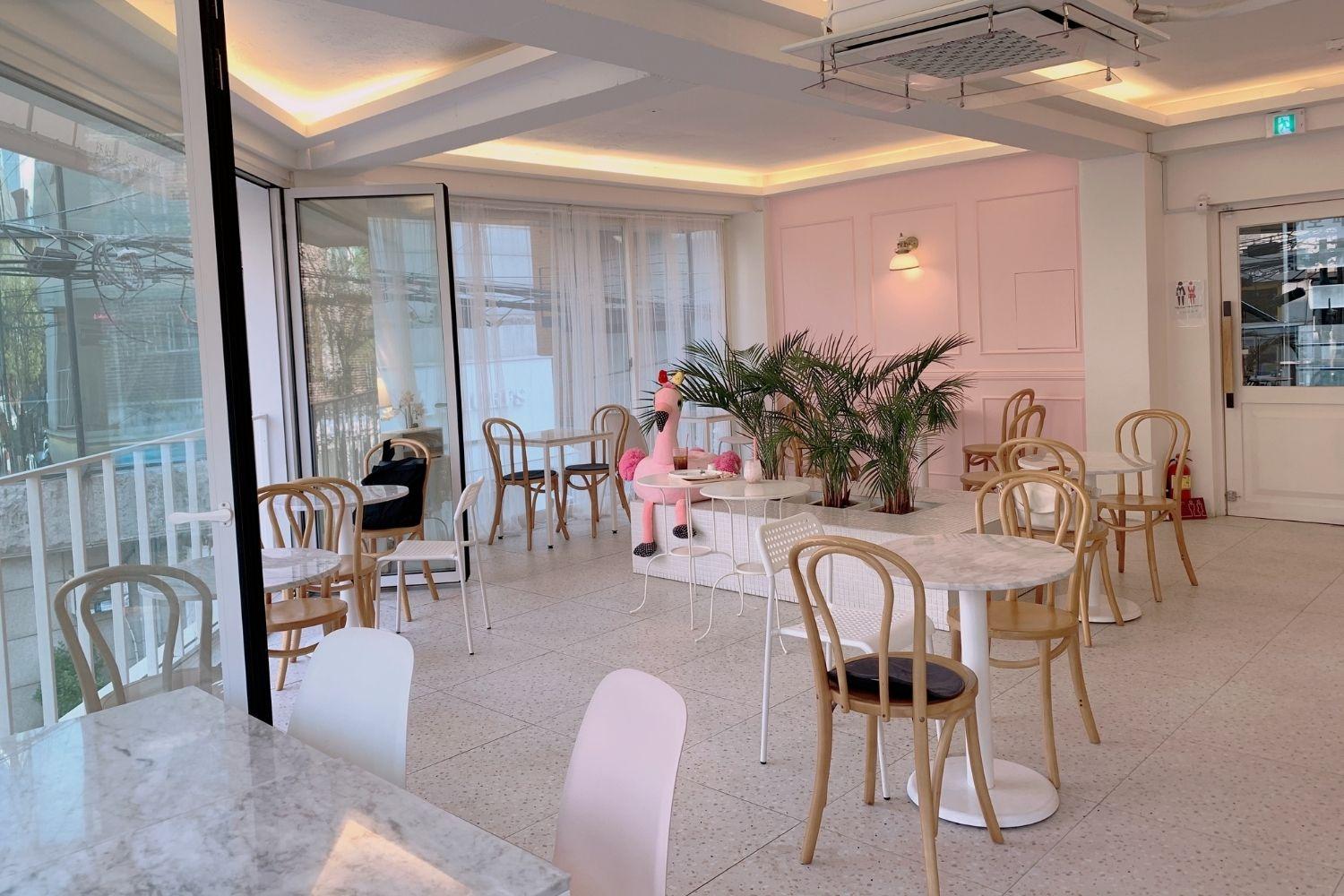 싱그러운 식물들로 장식된 귀여운 핑크 주제 카페의 밝은 실내 모습