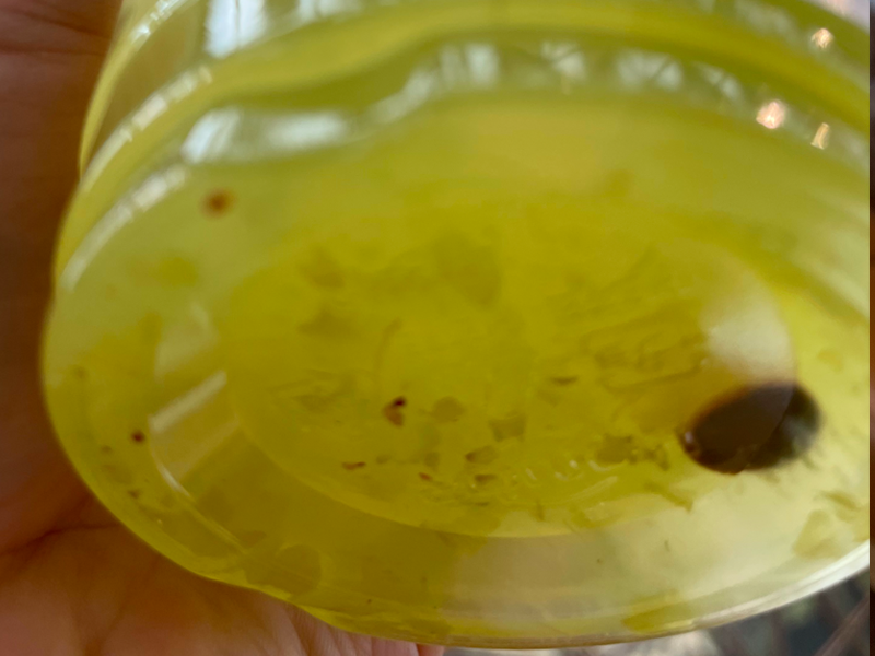 Shining Muscat Ade closeup of muscat bits