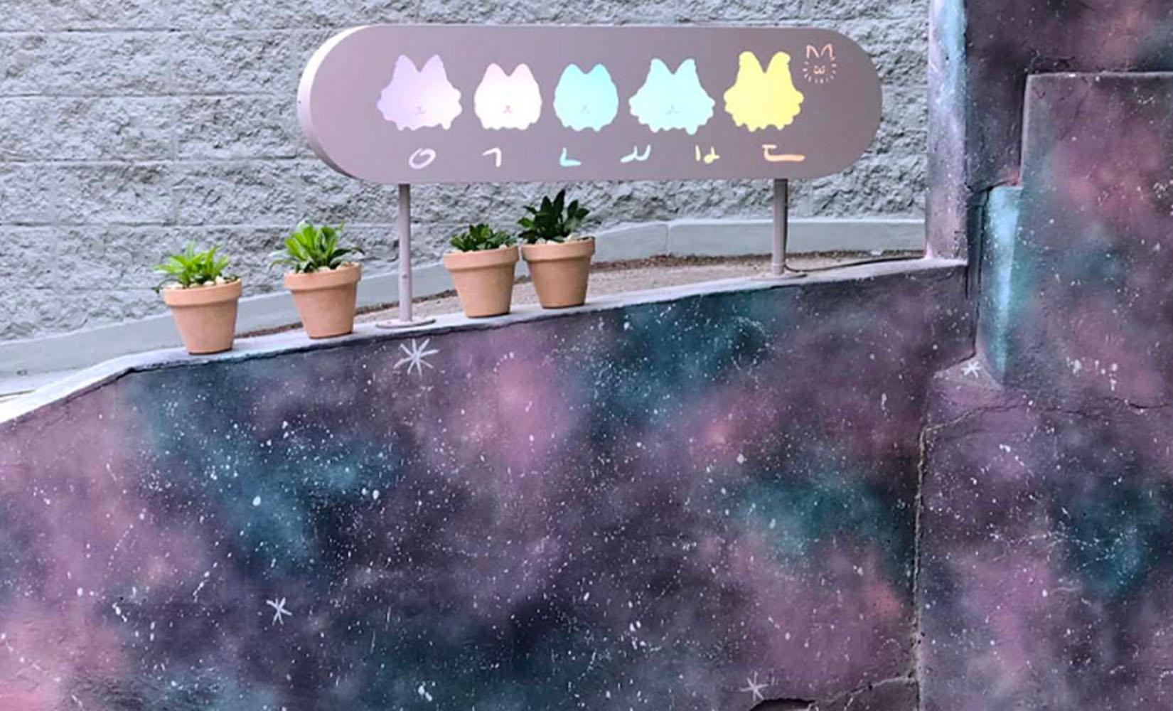 首爾紫色主題咖啡廳