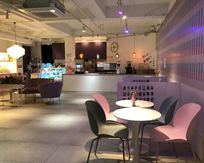 Be purple cafe purple interior