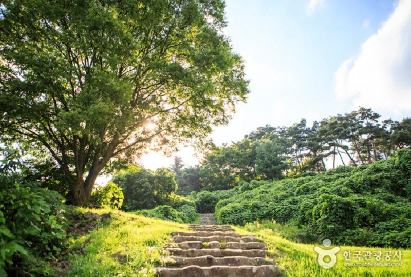 韓国旅行、韓国文化、韓国サービスエリア、韓国パーキングエリア、韓国観光、韓国ドライブ