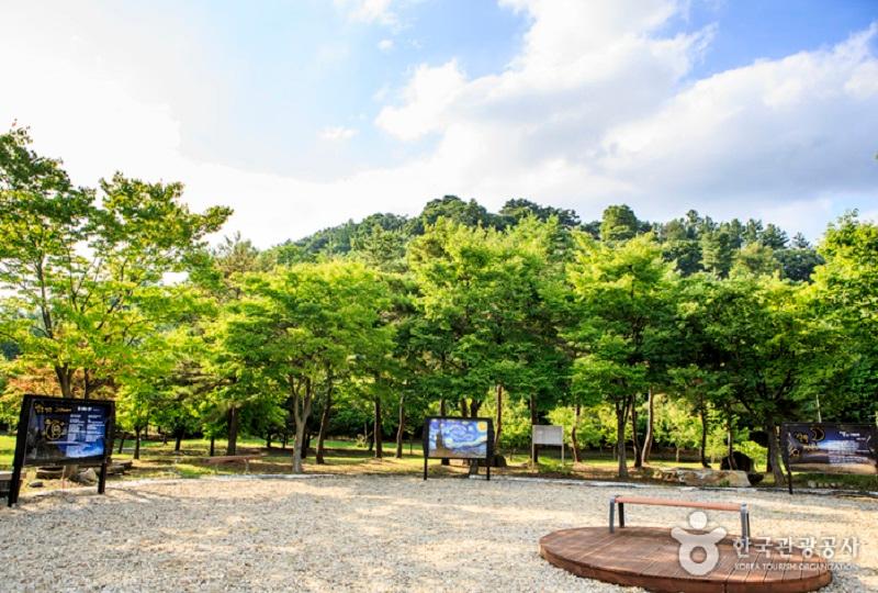 韓国旅行、韓国文化、韓国サービスエリア、韓国パーキングエリア、韓国観光、韓国ドライブ