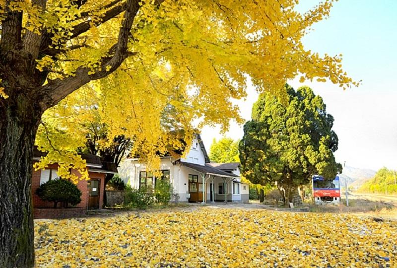 韓国旅行、韓国観光、韓国文化、韓国無人駅、人生ショット、撮影地、ロケ地、BTS、V、テテ、ARMY、スジ、建築学概論