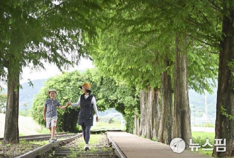 韓国旅行、韓国観光、韓国文化、韓国無人駅、人生ショット、撮影地、ロケ地、BTS、V、テテ、ARMY、スジ、建築学概論