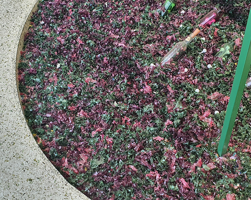 crushed bottles from Innisfree cycle store