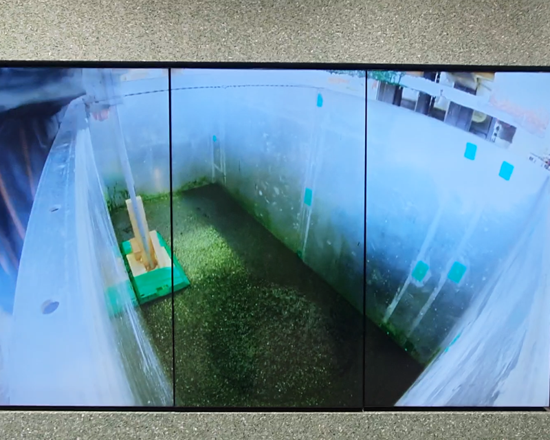 Innisfree green cycle store monitor