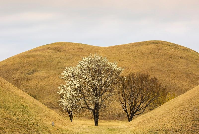 韩国旅行、韩国文化、韩国観光、世界遗产、ユネスコ、自然、昌徳宫、宗庙、南汉山城、水原、済州岛