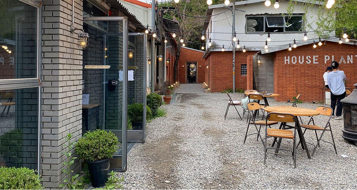 河南「House Plant cafe 」介紹